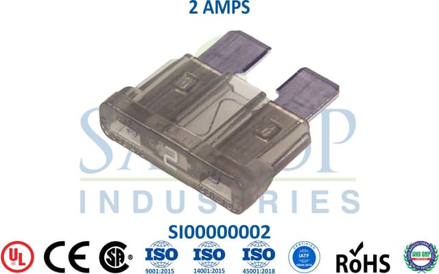 Standard Fuse - 2 AMPS