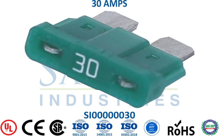 Standard Fuse - 30 AMPS