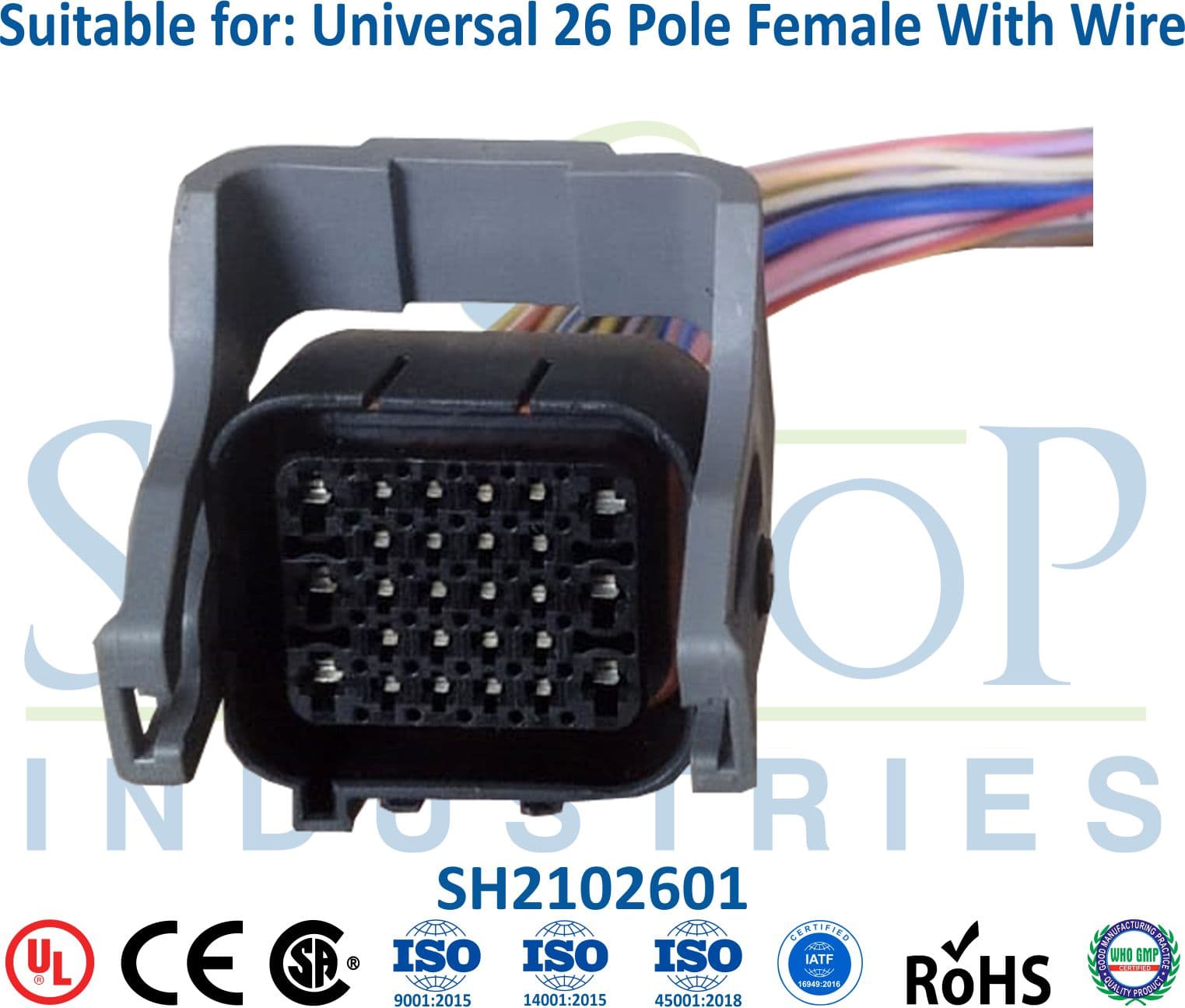 Ashok Leyland New Model 26 Pole Female - 1