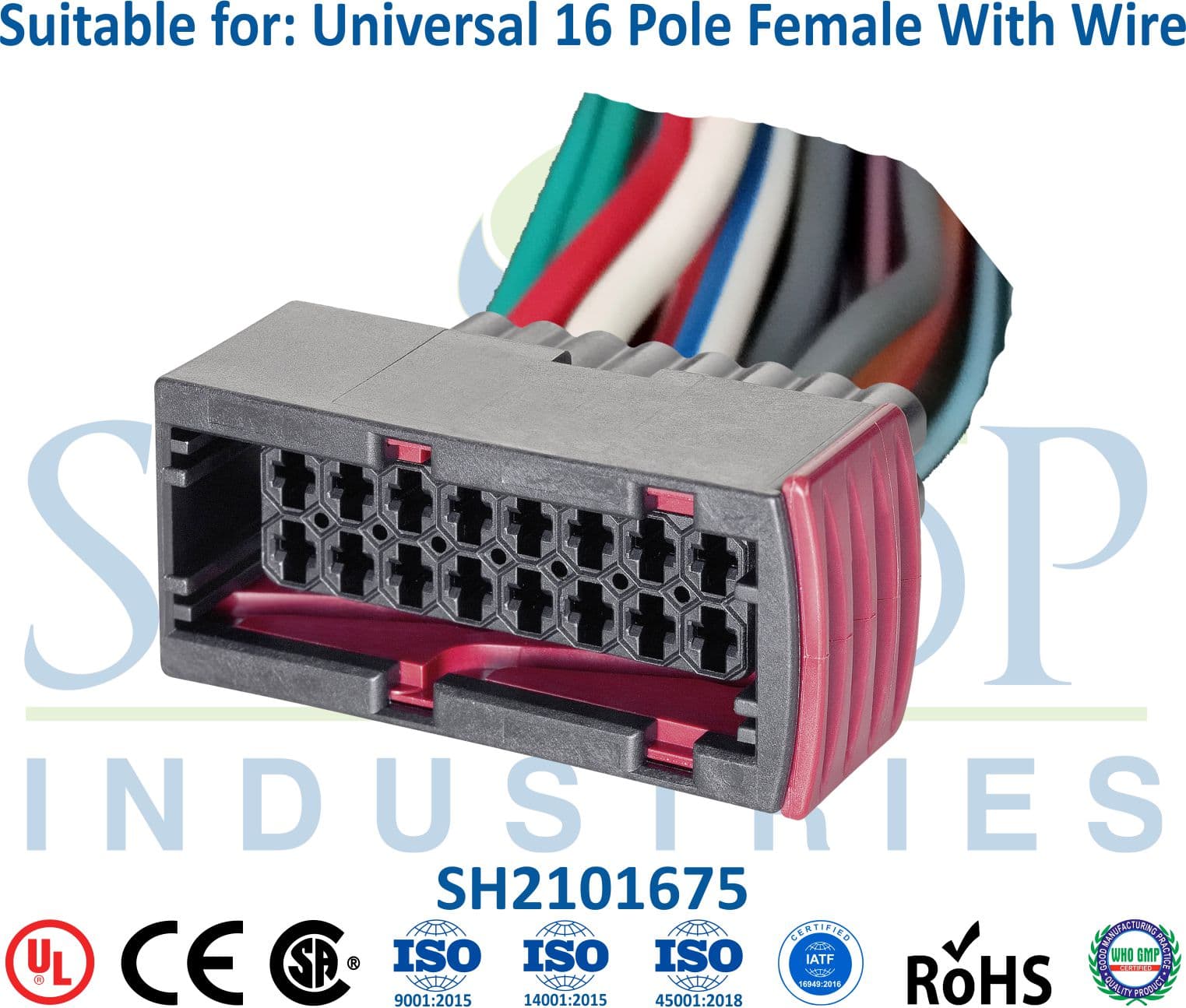 Tata ACE CNG 16 Pole Female - 1